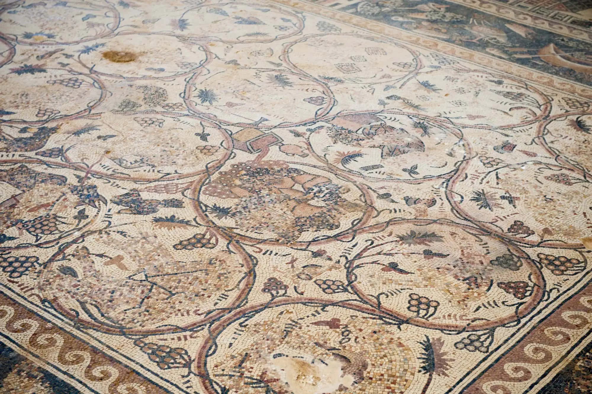 Jordan heritage photo from Umm ar Rasas archaeological site